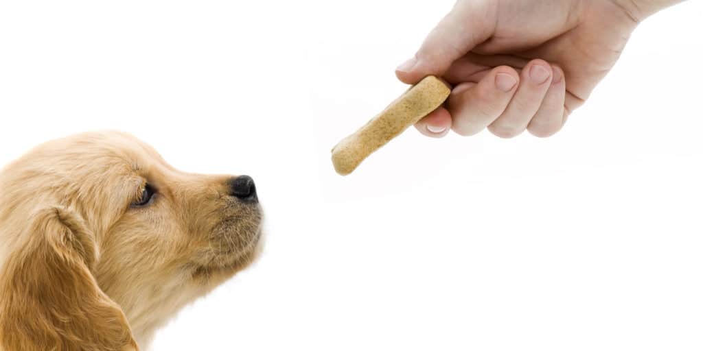 should you use dog training treats