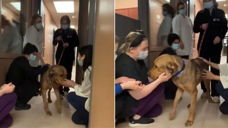 Long-Time-Shelter-Dog-Gets-Adopted-And-Gives-Goodbye-Kisses-To-Staff-On-His-Way-Out