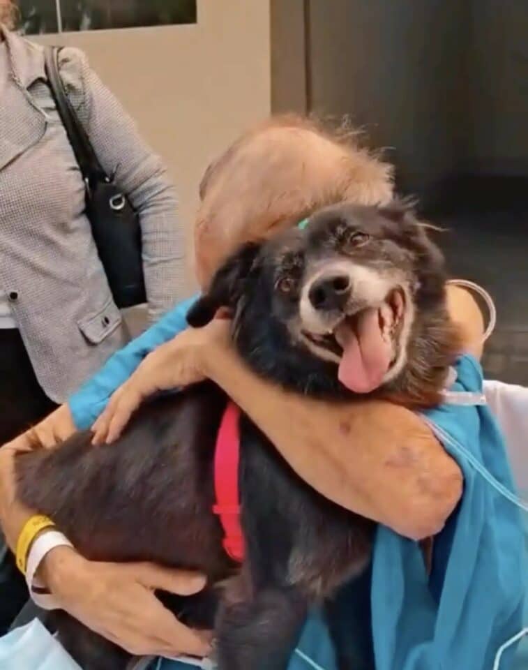 a-sick-man-hugs-his-dog-in-the-hospital