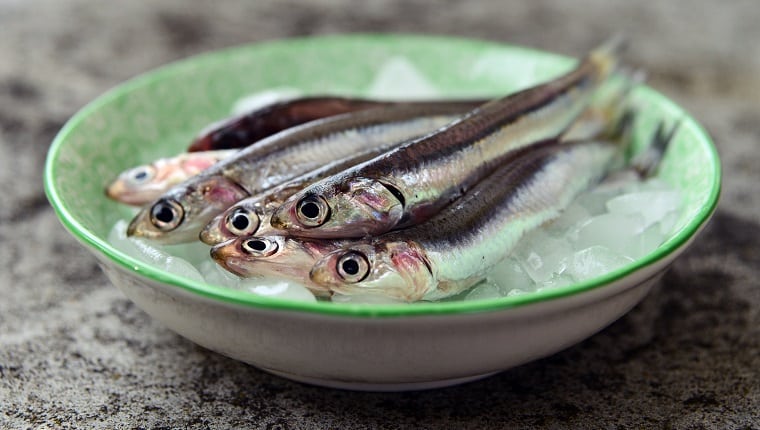 anchovies