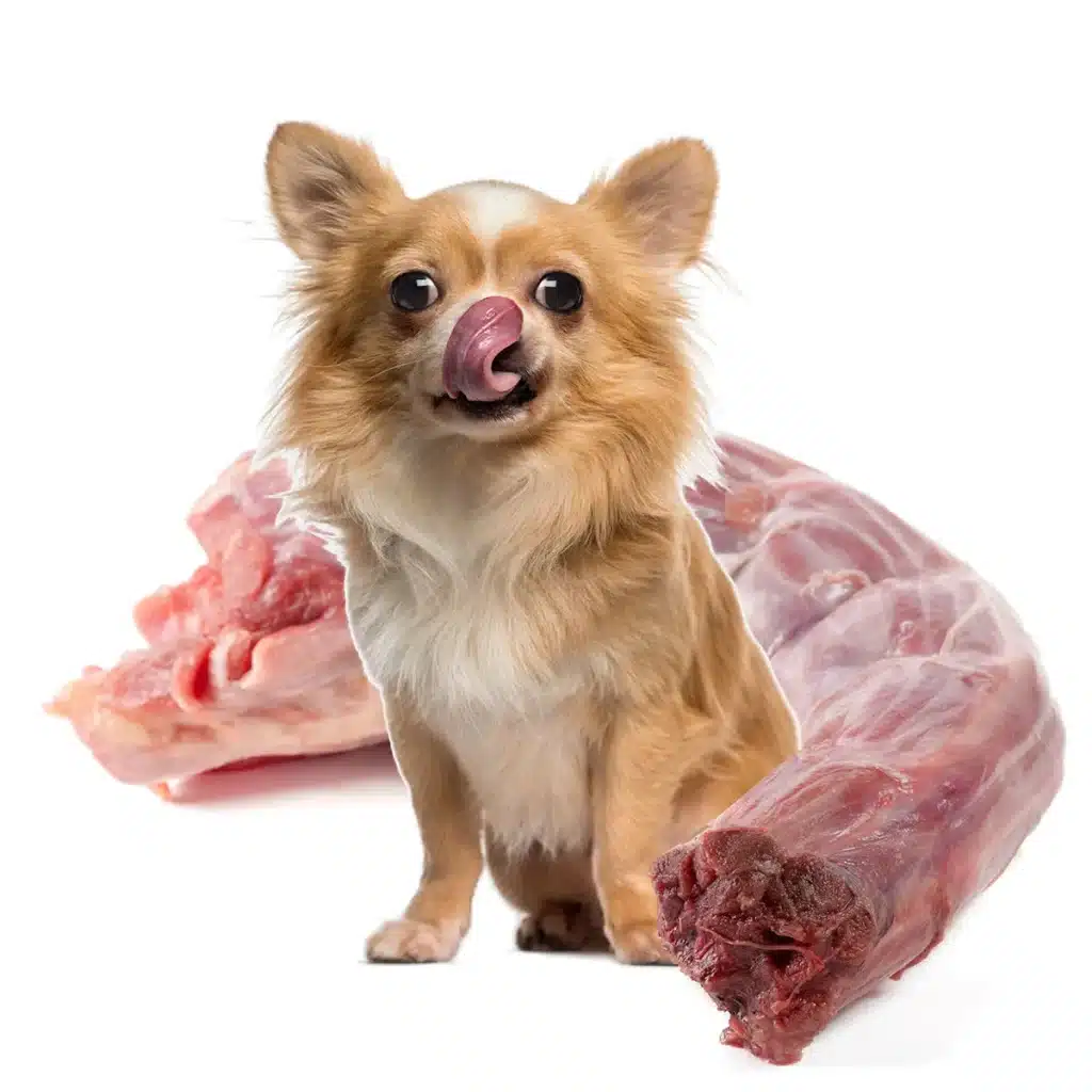 can dogs eat raw turkey necks?