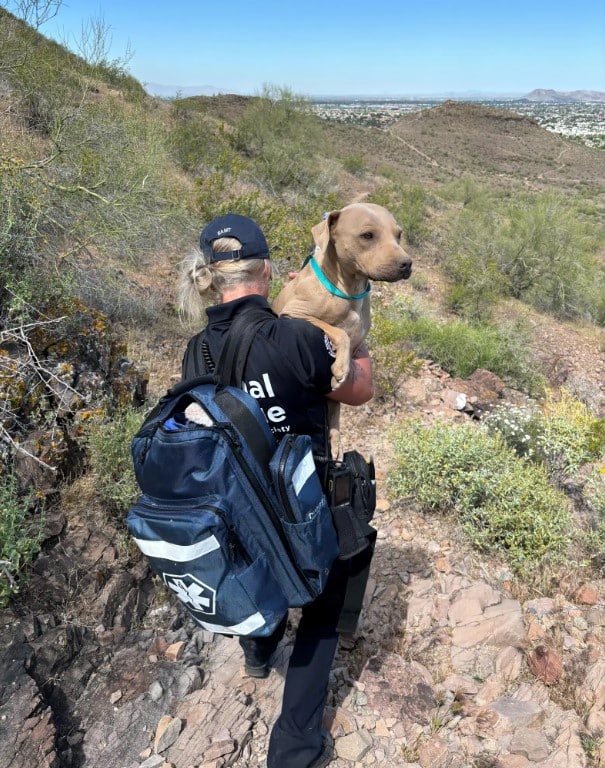 hiker-woman-holding-a-dog