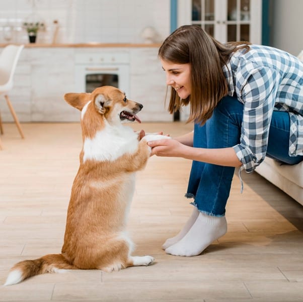 how often to trim a dogs nails