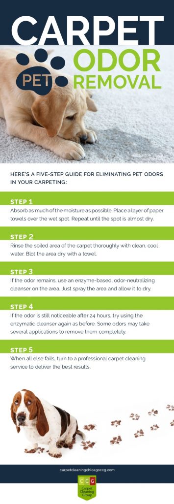 pet-odor-removal-checklist