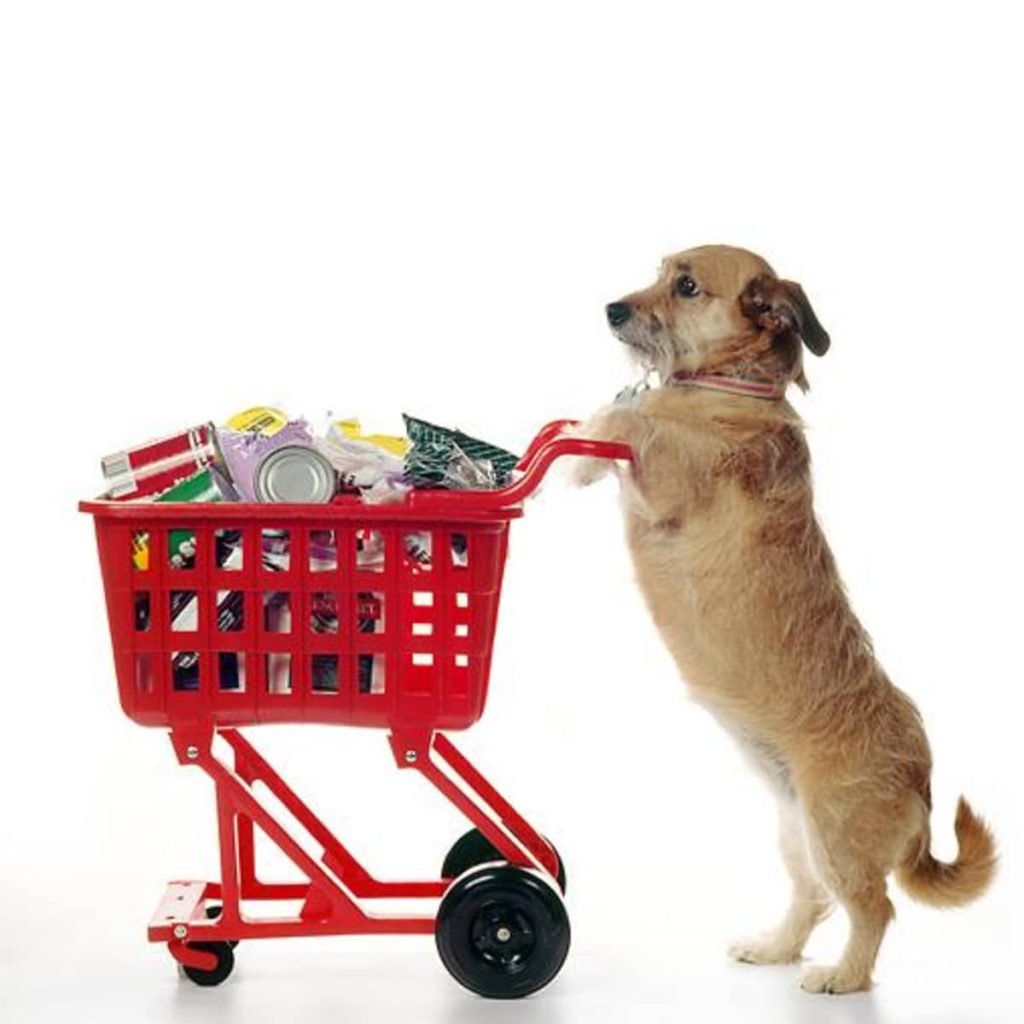 shopping-with-your-dog