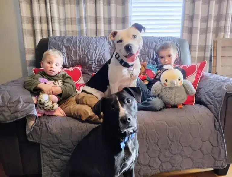 the-children-are-sitting-on-the-couch-with-the-dogs