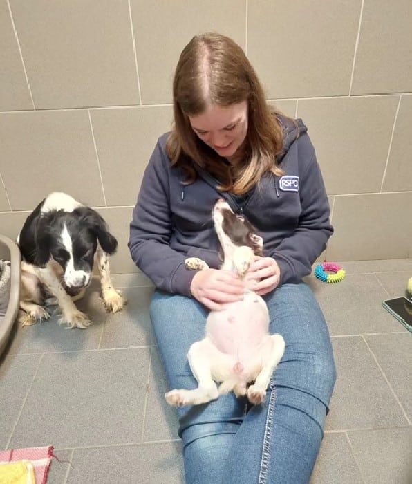 woman-holding-a-dog-in-her-lap