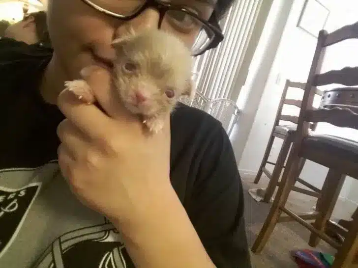 woman-holding-the-albino-puppy