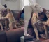 Abused Dog, Rex, Has The Pawfect Siblings To Help Him Overcome Anxiety