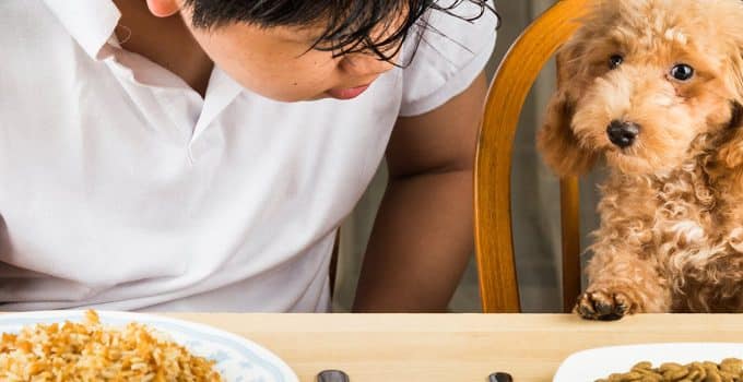 Can Dogs Eat Cannellini Beans? Paws, Beans, and Nutritional Greens!