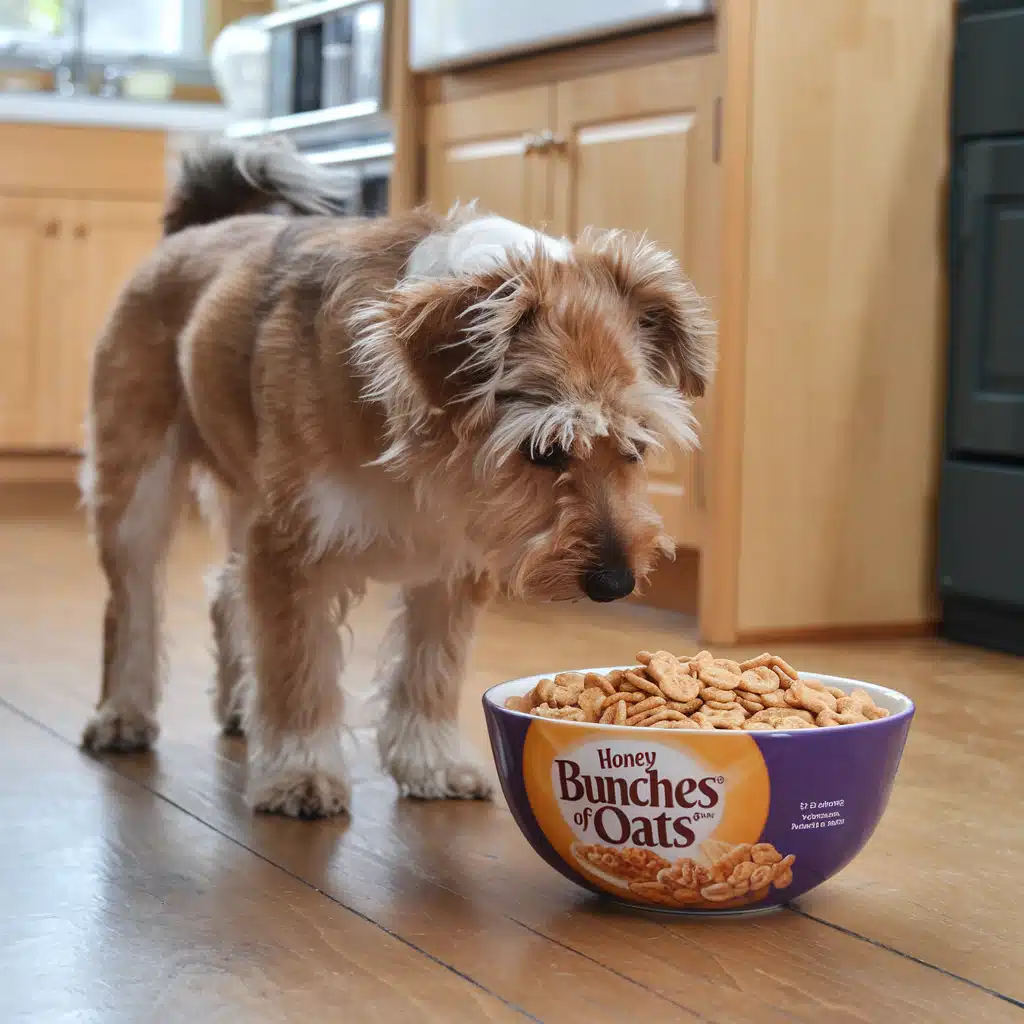 Can Dogs Eat Honey Bunches of Oats