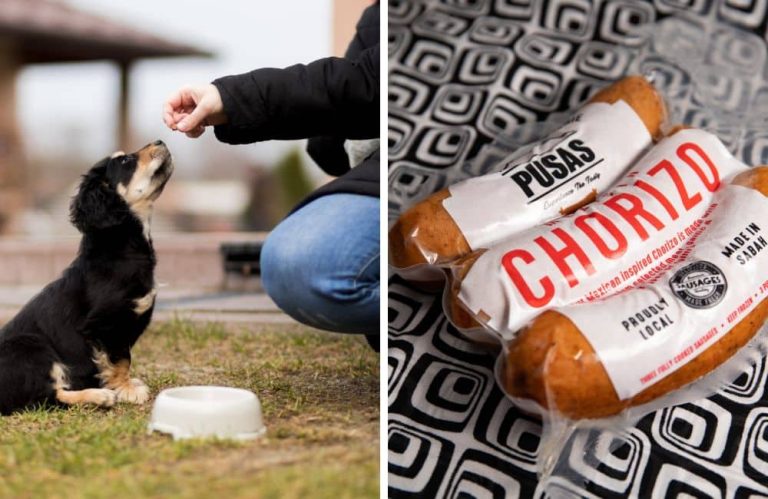 Can-dogs-eat-chorizo