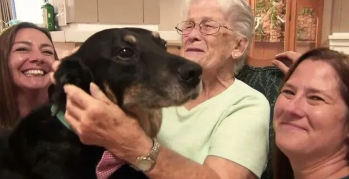 Dog Kept Breaking Out Of Shelter And Running To A Nursing Home To Hang Out With Its Residents