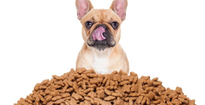 Is Guar Gum Safe For Dogs? Unleashing the Truth About this Food Additive