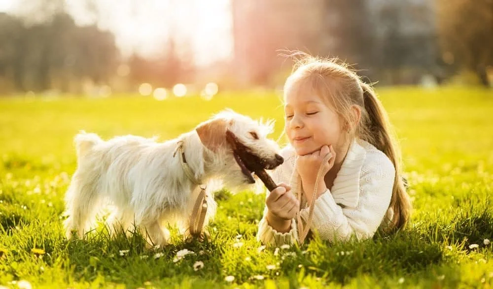 best small dogs for kids