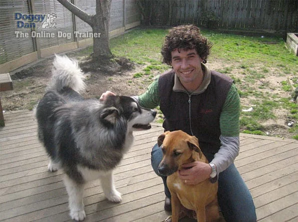 online dog trainer review