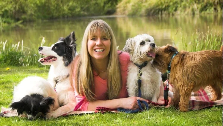 dog training