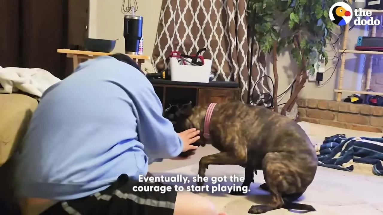 Finding Her Courage