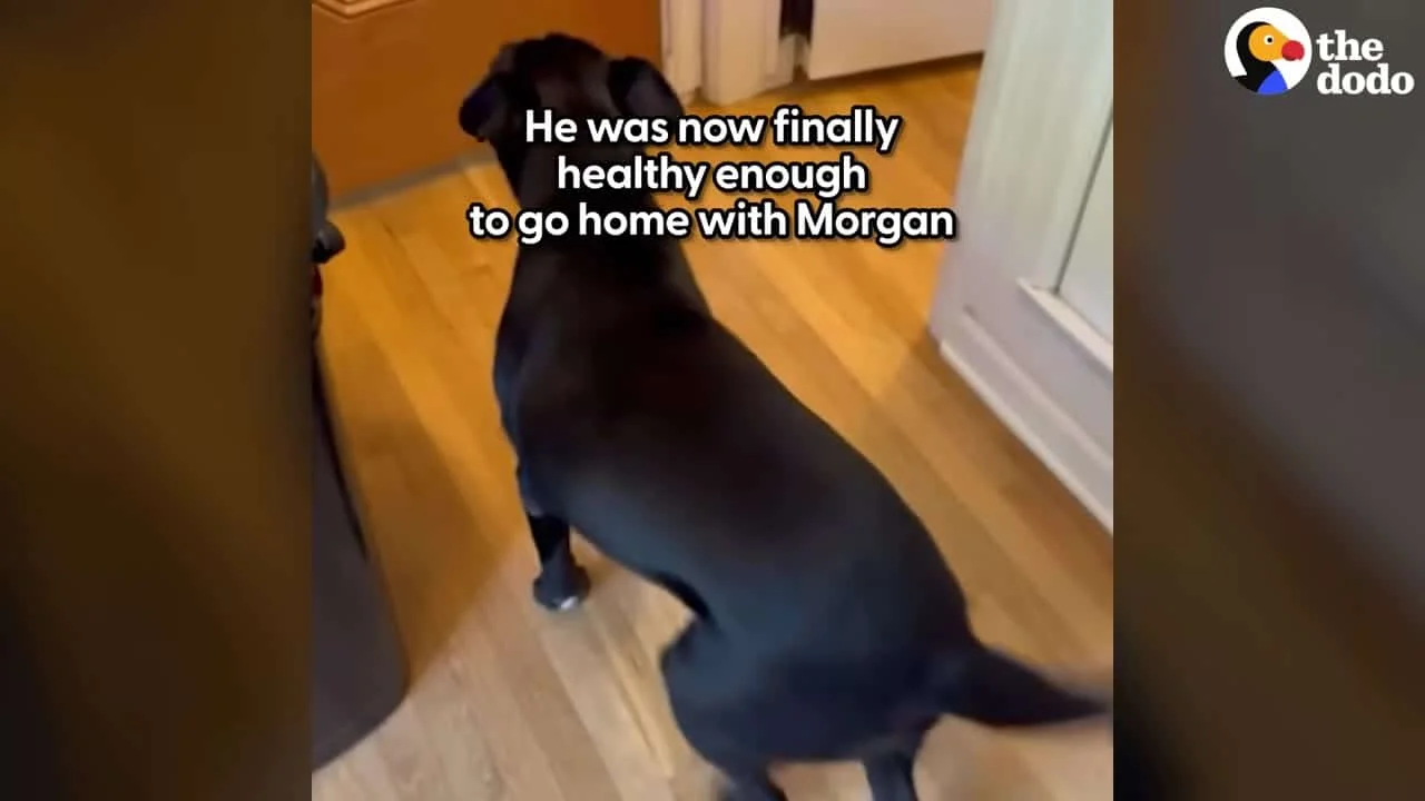 Going Home With Morgan