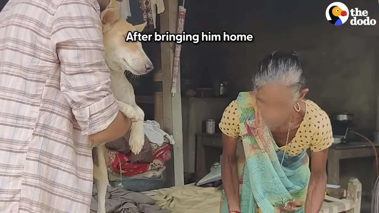 A Well-Deserved Meal