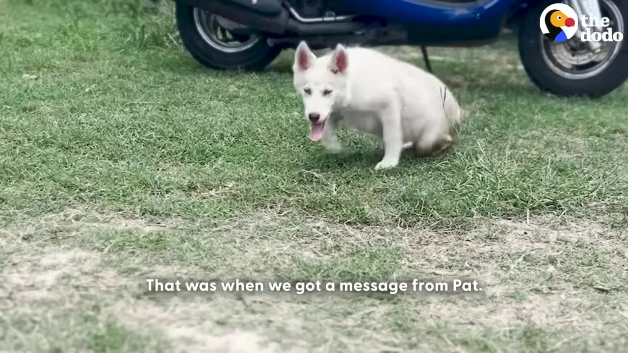 The Perfect Message