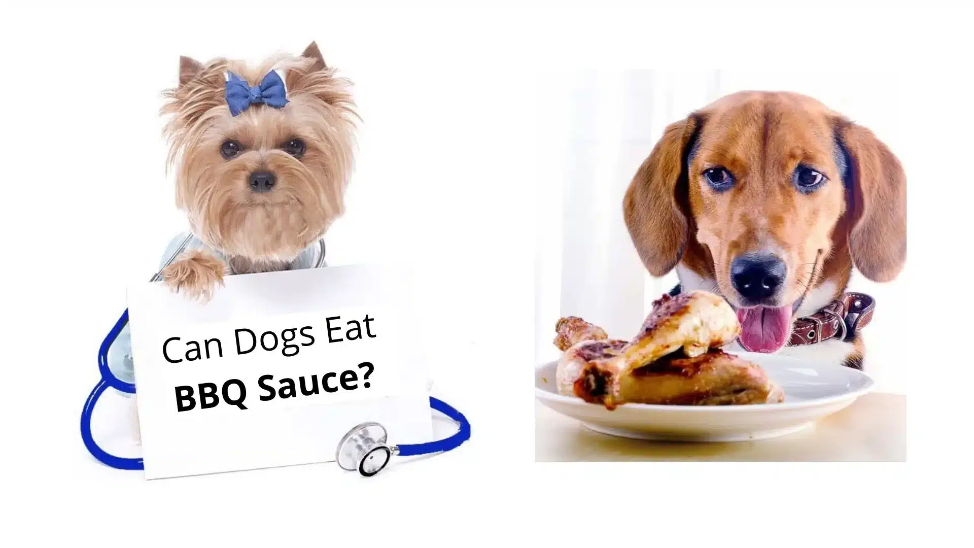 can dogs have bbq sauce