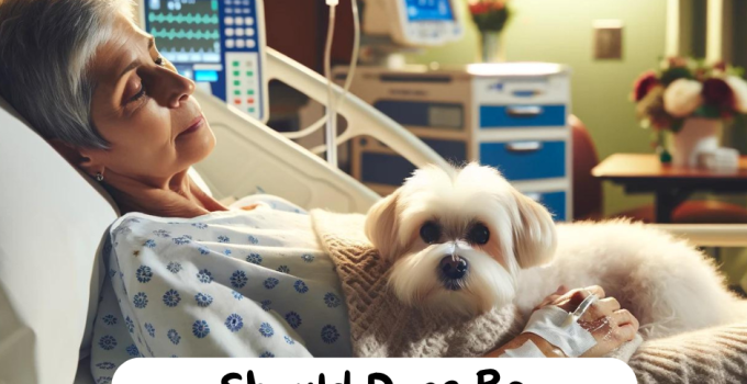 Should Dogs Be Allowed in Hospitals?