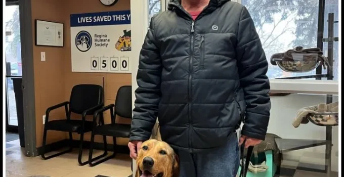 Sweet Dog Finally Got Adopted After Spending Months In The Shelter So The Staff Thew A Party For Him