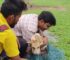 Texas Rescue Team Spots A Dog Trapped In A Deep Well And Hatches A Daring Plan